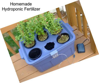 Homemade Hydroponic Fertilizer