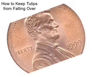 How to Keep Tulips from Falling Over