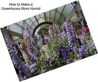 How to Make a Greenhouse More Humid