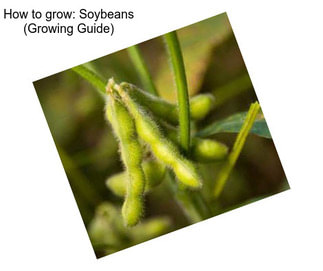 How to grow: Soybeans (Growing Guide)