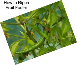 How to Ripen Fruit Faster