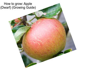 How to grow: Apple (Dwarf) (Growing Guide)