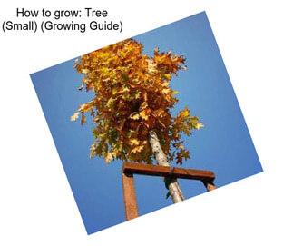 How to grow: Tree (Small) (Growing Guide)