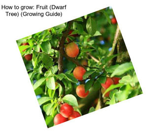 How to grow: Fruit (Dwarf Tree) (Growing Guide)