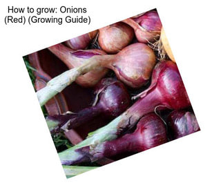 How to grow: Onions (Red) (Growing Guide)