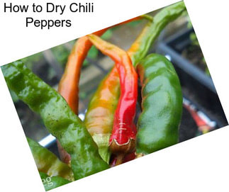 How to Dry Chili Peppers