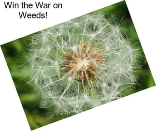 Win the War on Weeds!