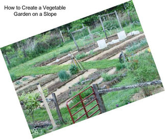 How to Create a Vegetable Garden on a Slope