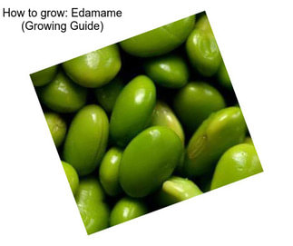 How to grow: Edamame (Growing Guide)