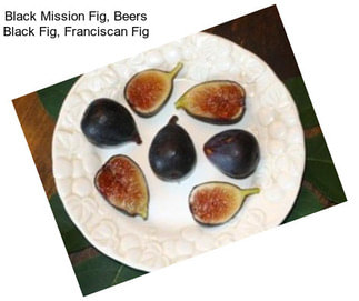 Black Mission Fig, Beers Black Fig, Franciscan Fig