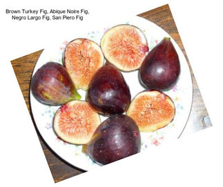 Brown Turkey Fig, Abique Noire Fig, Negro Largo Fig, San Piero Fig
