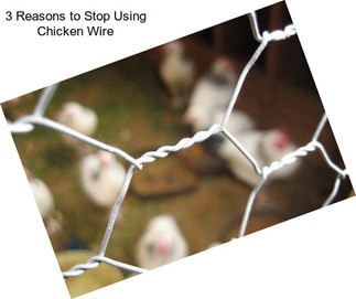 3 Reasons to Stop Using Chicken Wire