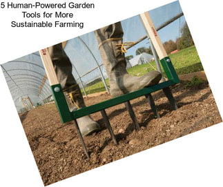 5 Human-Powered Garden Tools for More Sustainable Farming