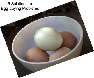 6 Solutions to Egg-Laying Problems