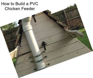 How to Build a PVC Chicken Feeder