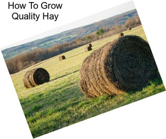 How To Grow Quality Hay