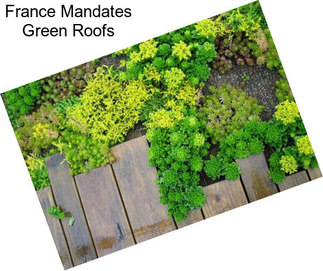 France Mandates Green Roofs