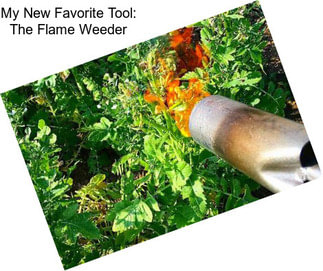 My New Favorite Tool: The Flame Weeder
