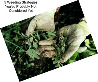 5 Weeding Strategies You\'ve Probably Not Considered Yet