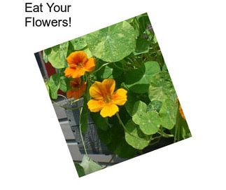 Eat Your Flowers!