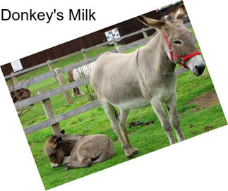 Donkey\'s Milk