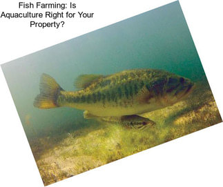 Fish Farming: Is Aquaculture Right for Your Property?