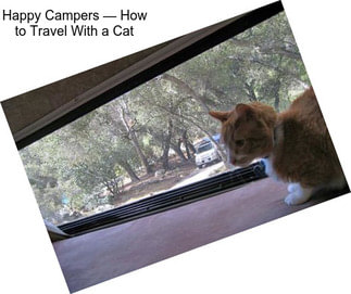 Happy Campers — How to Travel With a Cat