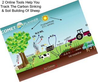 2 Online Tools Help You Track The Carbon Sinking & Soil Building Of Sheep