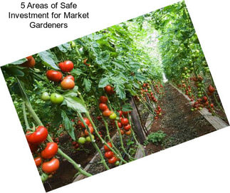 5 Areas of Safe Investment for Market Gardeners