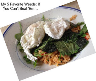 My 5 Favorite Weeds: If You Can\'t Beat \'Em…