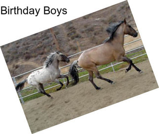 Birthday Boys