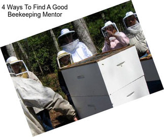 4 Ways To Find A Good Beekeeping Mentor