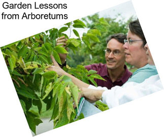 Garden Lessons from Arboretums