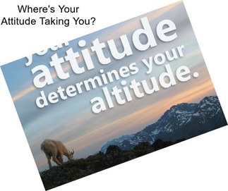 Where\'s Your Attitude Taking You?