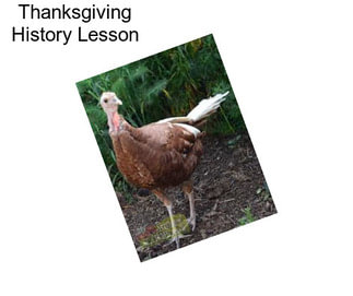 Thanksgiving History Lesson