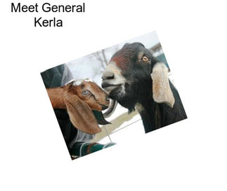 Meet General Kerla