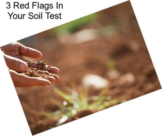 3 Red Flags In Your Soil Test