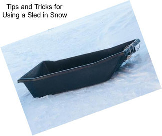 Tips and Tricks for Using a Sled in Snow