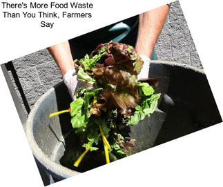 There\'s More Food Waste Than You Think, Farmers Say