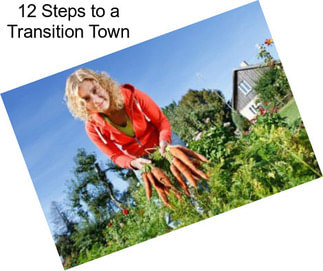 12 Steps to a Transition Town