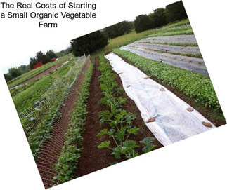 The Real Costs of Starting a Small Organic Vegetable Farm