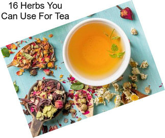 16 Herbs You Can Use For Tea