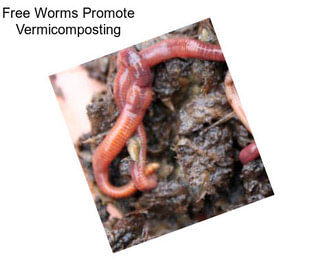 Free Worms Promote Vermicomposting