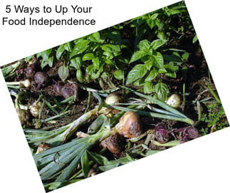 5 Ways to Up Your Food Independence