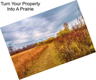 Turn Your Property Into A Prairie