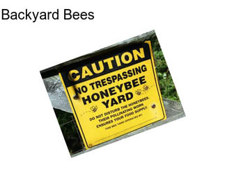 Backyard Bees