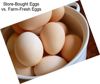 Store-Bought Eggs vs. Farm-Fresh Eggs