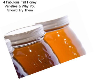 4 Fabulous Fall Honey Varieties & Why You Should Try Them