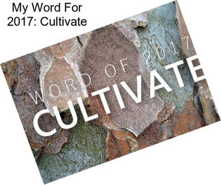 My Word For 2017: Cultivate