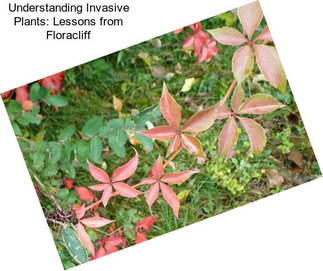 Understanding Invasive Plants: Lessons from Floracliff